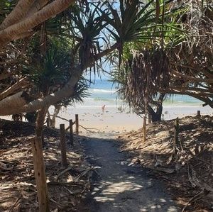 Meet your Posher, Kerryn